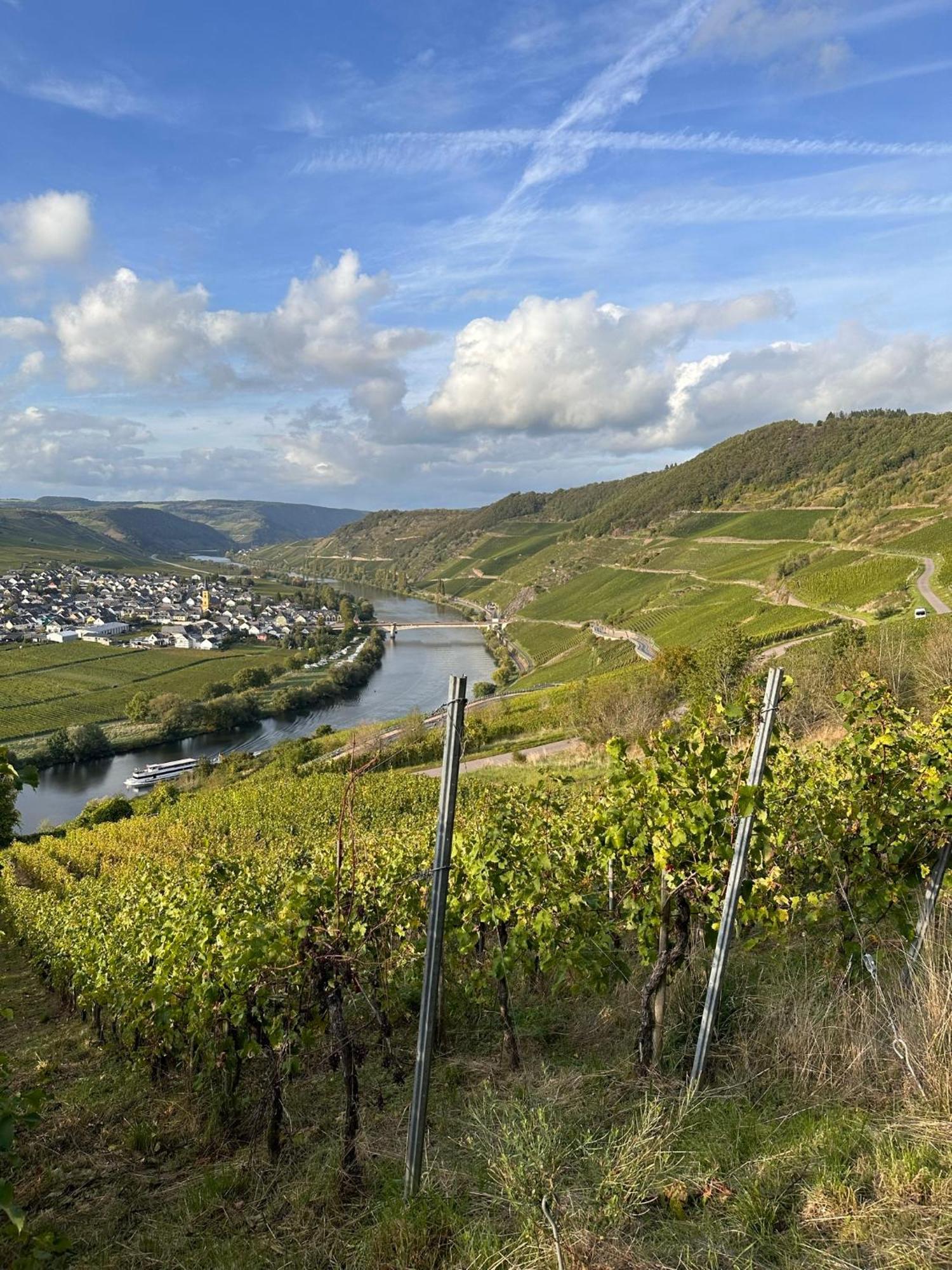 Hotel Krone Riesling Триттенхайм Экстерьер фото